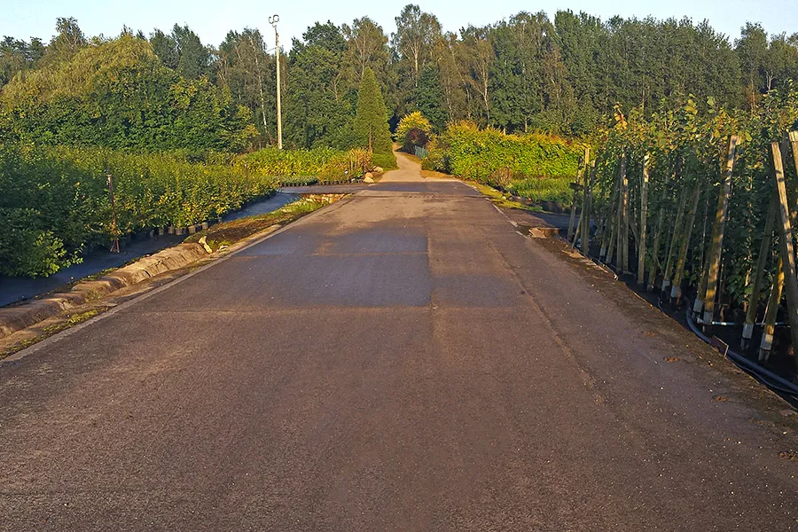 Pārdošanas laukums